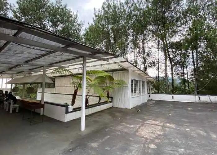 The Peak Home