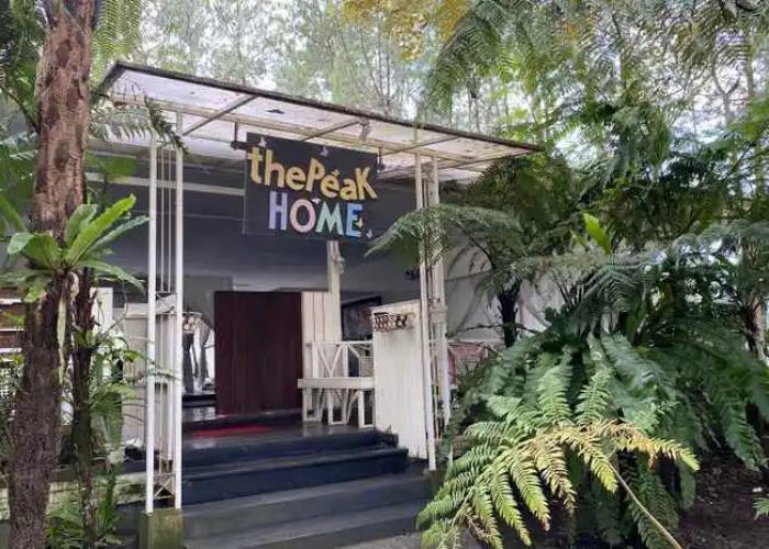 The Peak Home