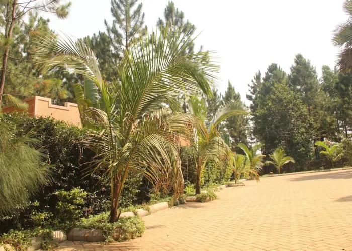 Saltek Forest cottages