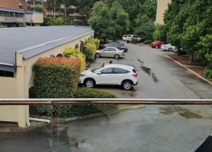 Griffith Studio Canberra - free parking