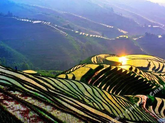 Longji Bishu Guesthouse