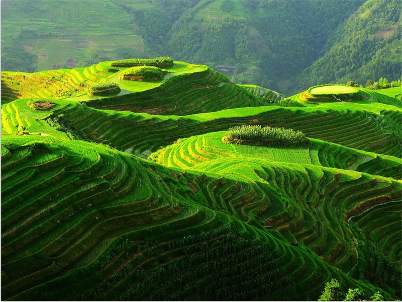 Lavande Hotels·Guilin Longsheng