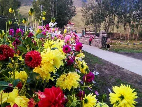Gesang Garden