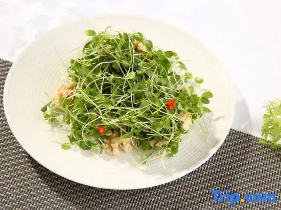 Kangding Love Song Plaza Yoyo City Gesang Flower Hotel