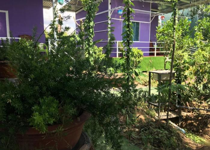 Thu Huynh Homestay - Hostel
