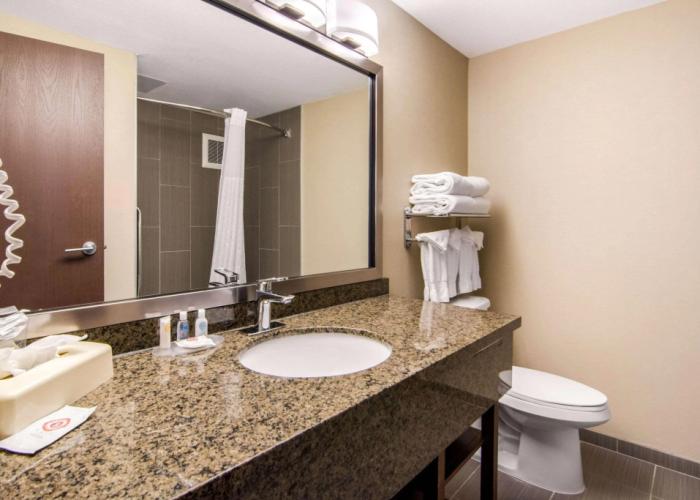 Comfort Inn & Suites Medicine Hat