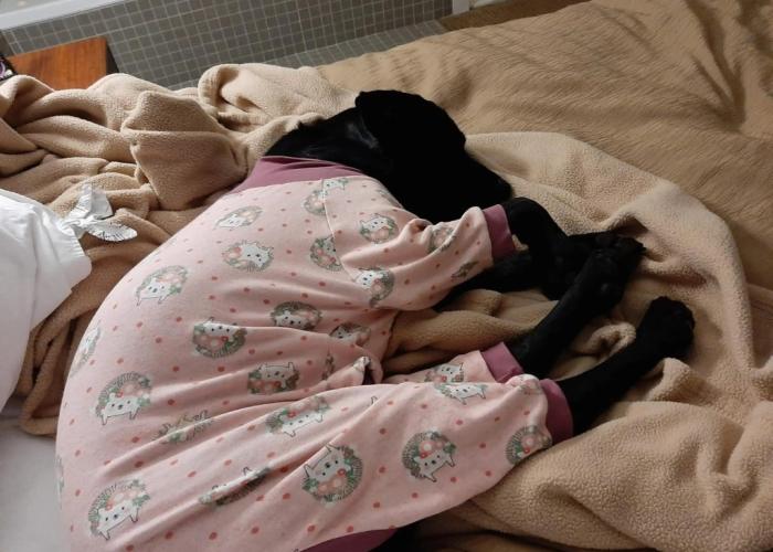 Comfort Inn & Suites Medicine Hat