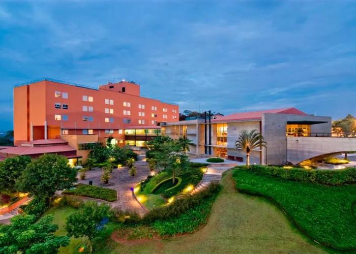 Almenat Embu das Artes, Tapestry Collection by Hilton