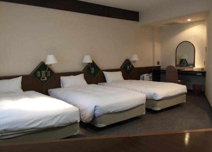 Hotel New Omi