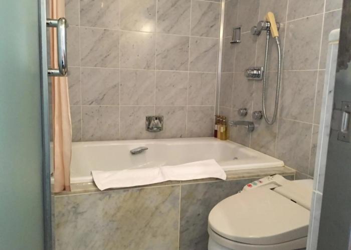 Hotel New Omi