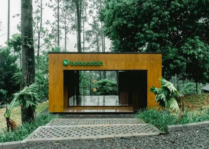 Bobocabin Padusan