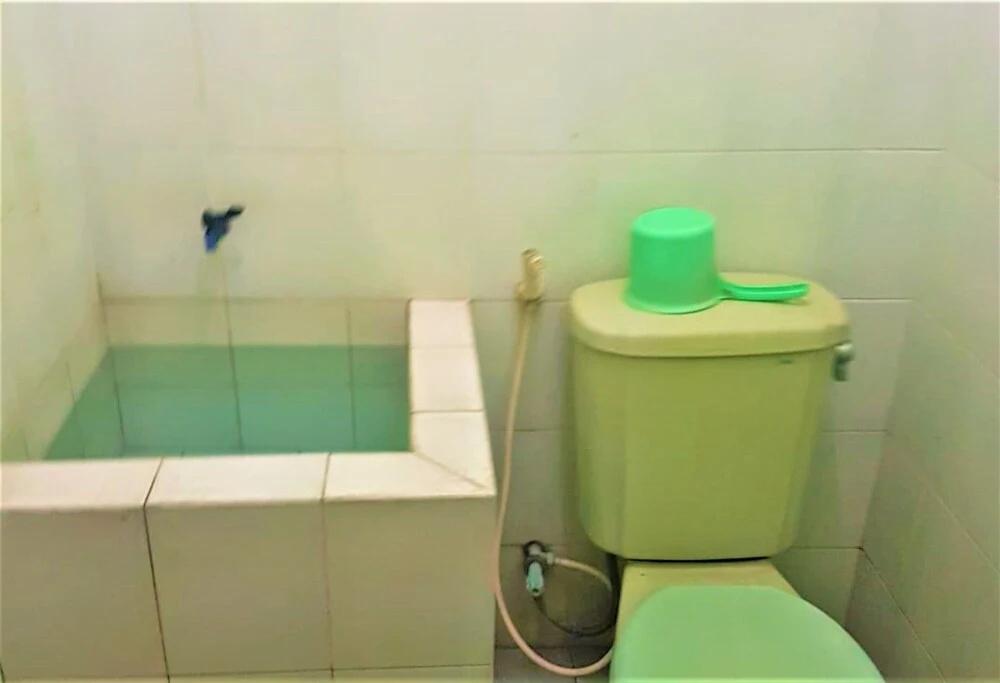 фото Hotel Mulia