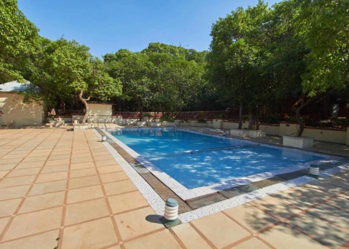 Nature Forest View Resort