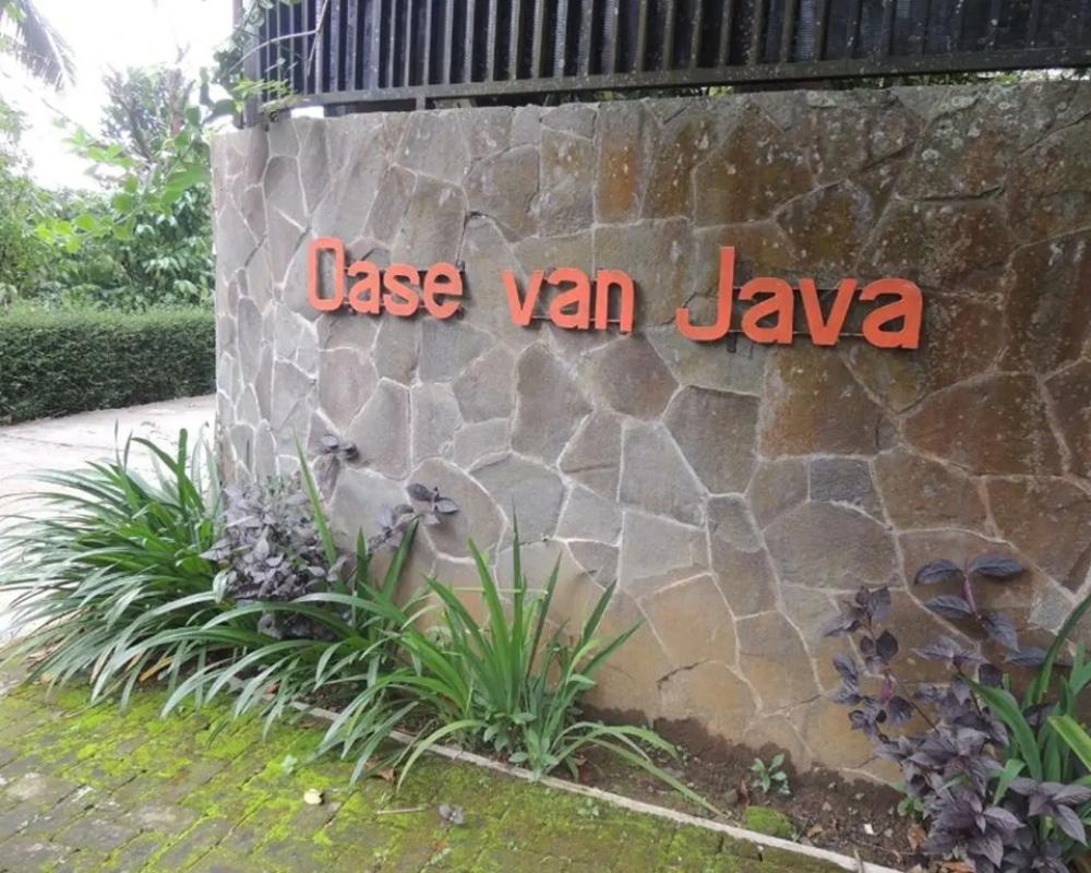 фото Oase Van Java