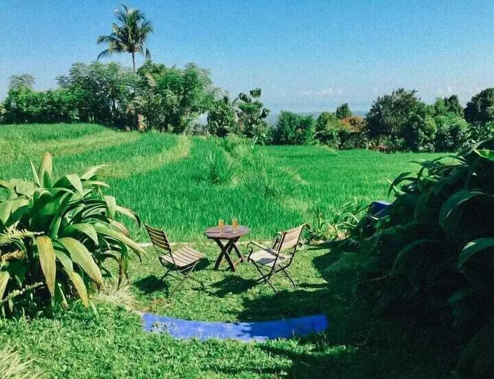 фото Pondok Apsari 2