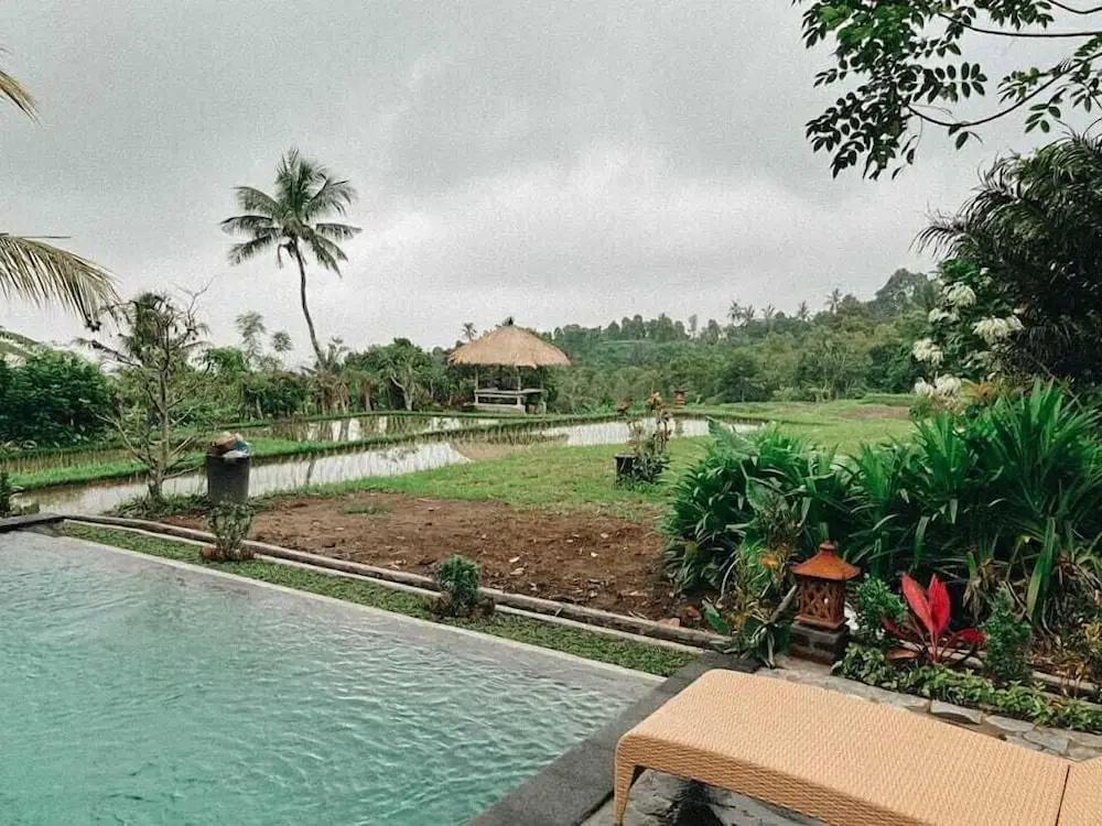 фото Pondok Apsari 2