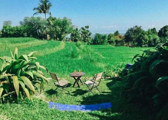 Pondok Apsari 2
