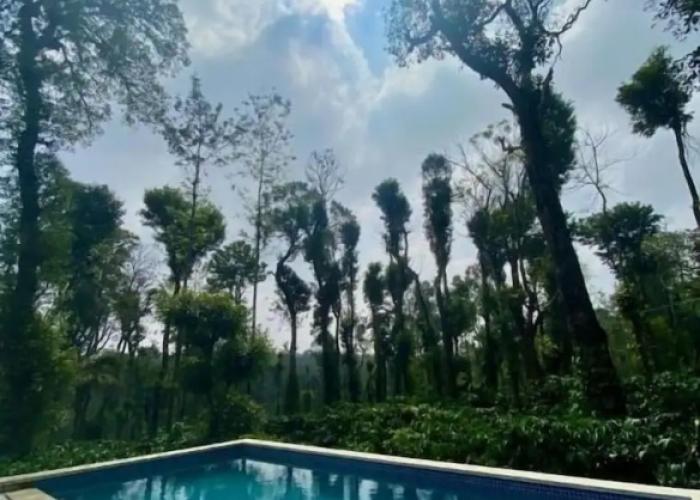 Machaan Wilderness Lodge Nagarahole