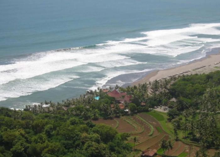 Queen of The South Resort