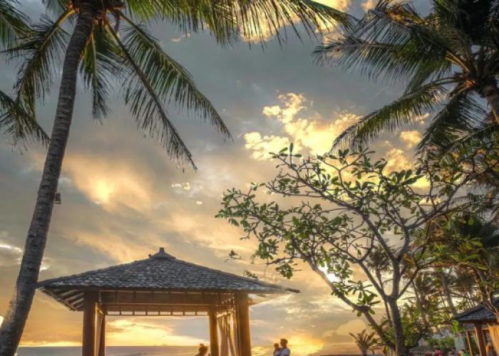 Queen of The South Resort