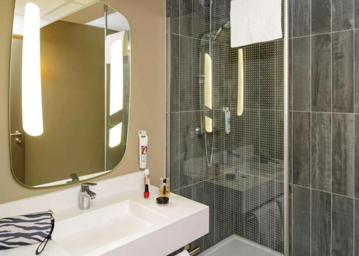 ibis Geneve Centre Gare