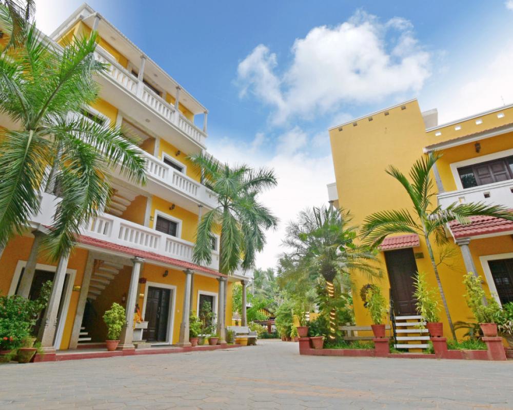 Poppys Olive De Villa