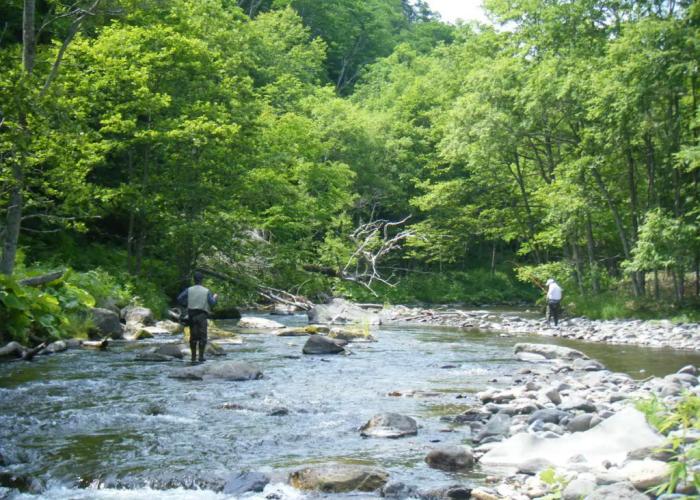 Onsen Pension Mori No Fukuro