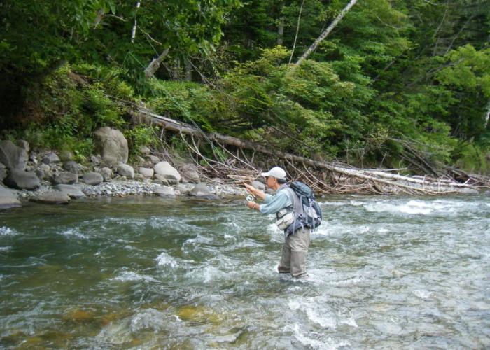 Onsen Pension Mori No Fukuro