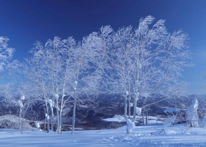 Tokachi Sahoro Resort