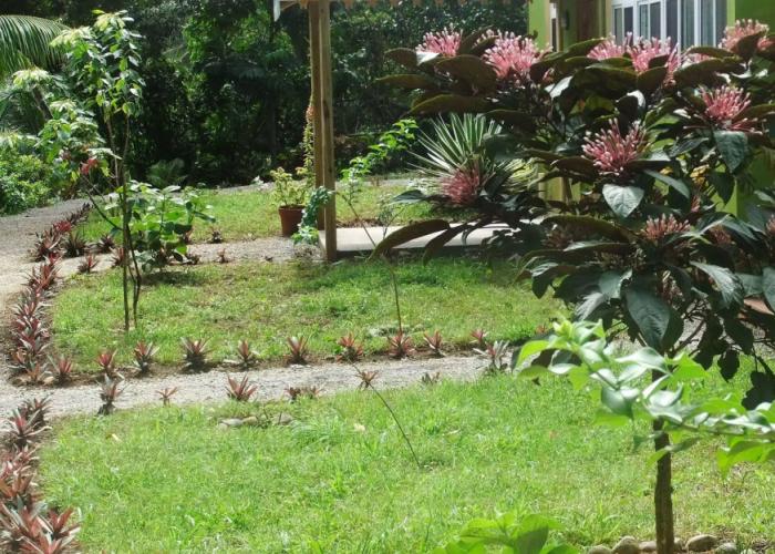 Serenity Lodges Dominica