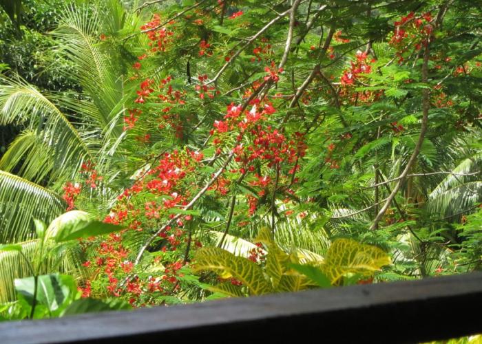 Hibiscus Valley Inn