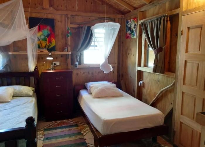 Mainroad Suite