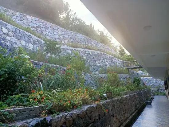 Dechenz Middle Homestay