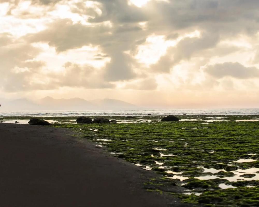 фото Jeeva Saba Bali