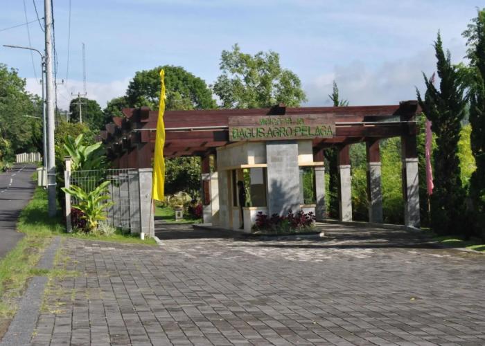 Bagus Agro Pelaga