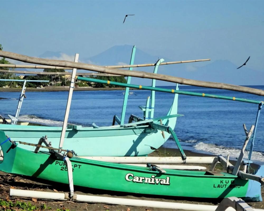 фото Mayo Resort