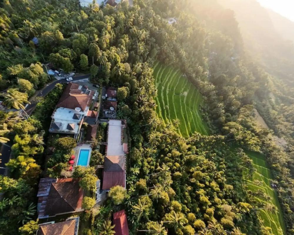 фото IPSA Villa