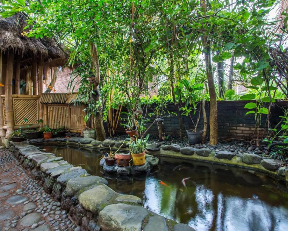 фото Omunity Bali