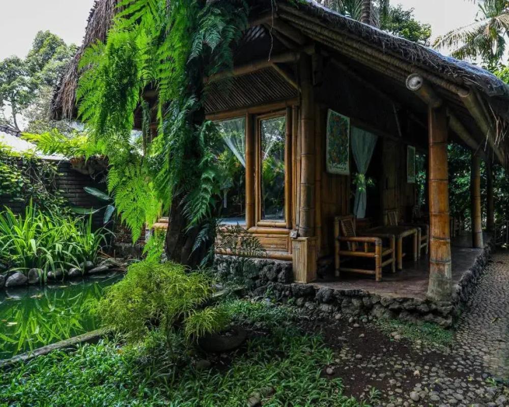 фото Omunity Bali