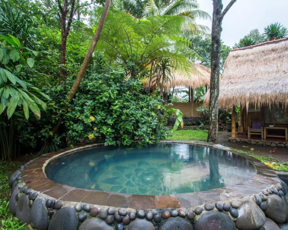 фото Omunity Bali