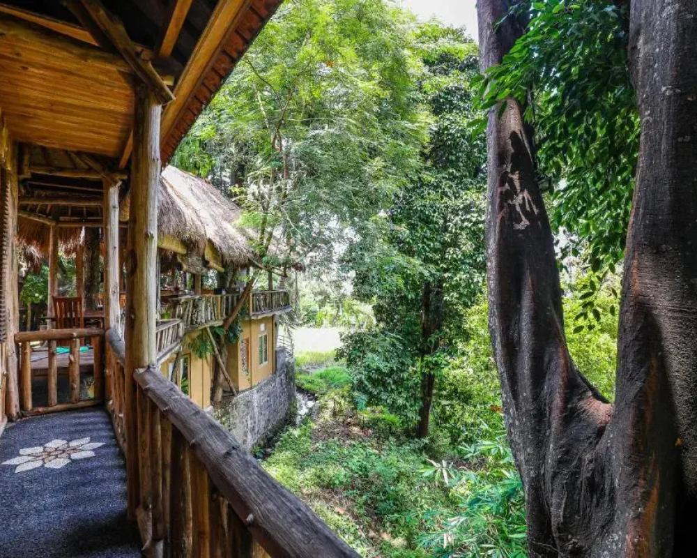 фото Omunity Bali