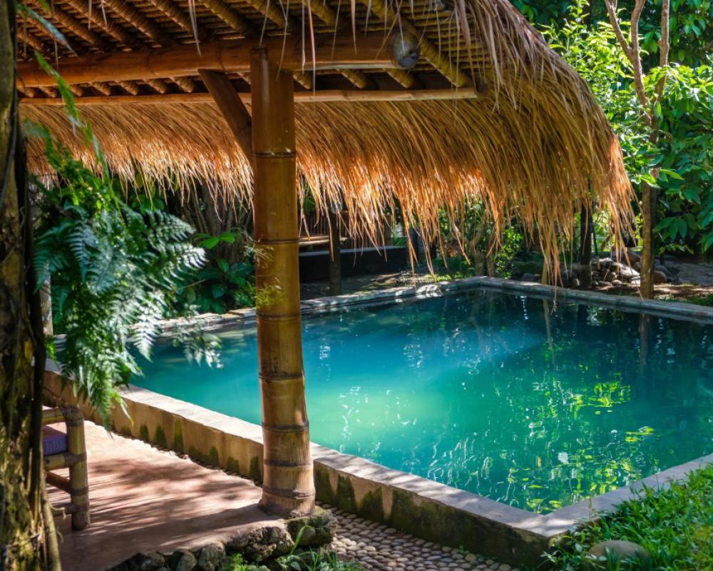 фото Omunity Bali