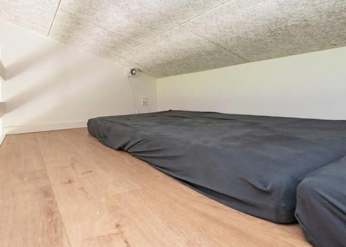 12 Person Holiday Home in Ansager