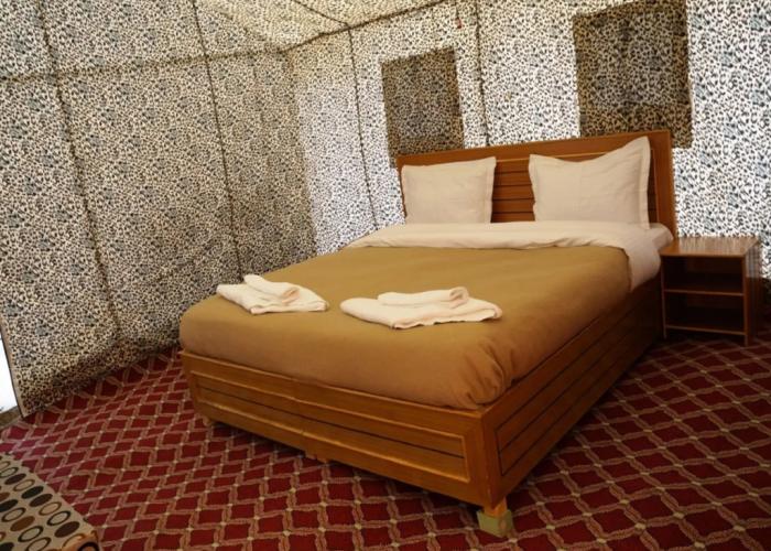 The Ladakh Summer Camp