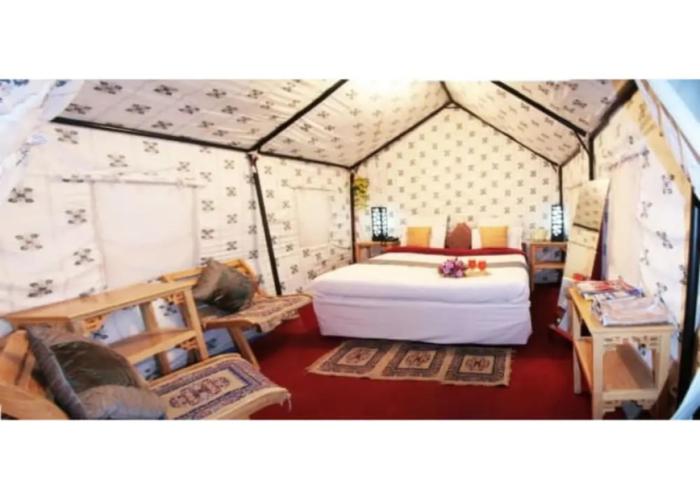 The Ladakh Summer Camp