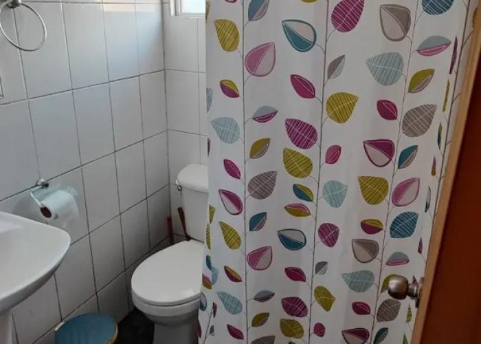 Alma Patagona Hostel Coyhaique