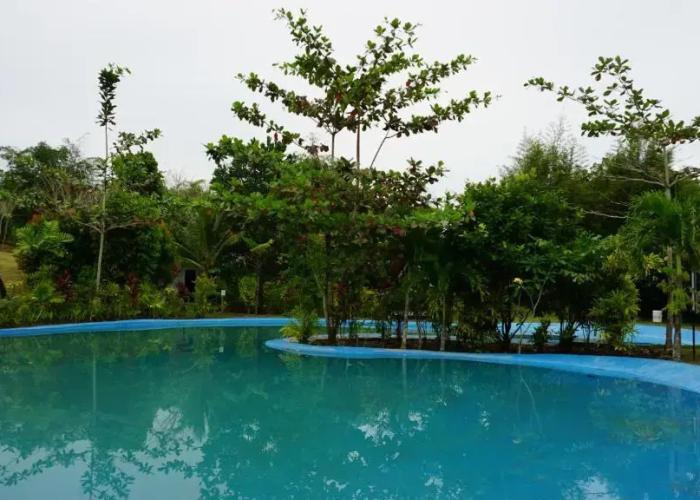 D'Bamboo Kamp