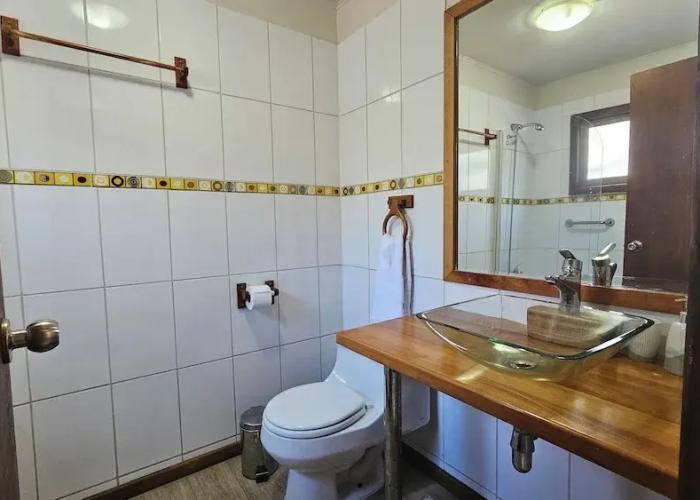 Oceana Suites Corralco