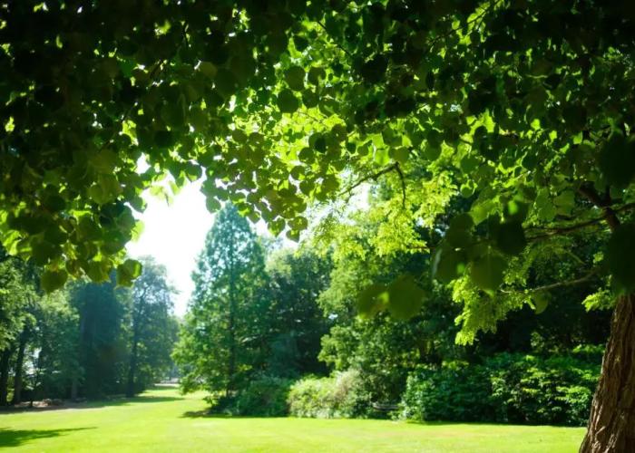 Landgoed Rhederoord