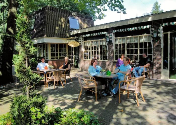Modern Lodge With air Conditioning, in Green Twente